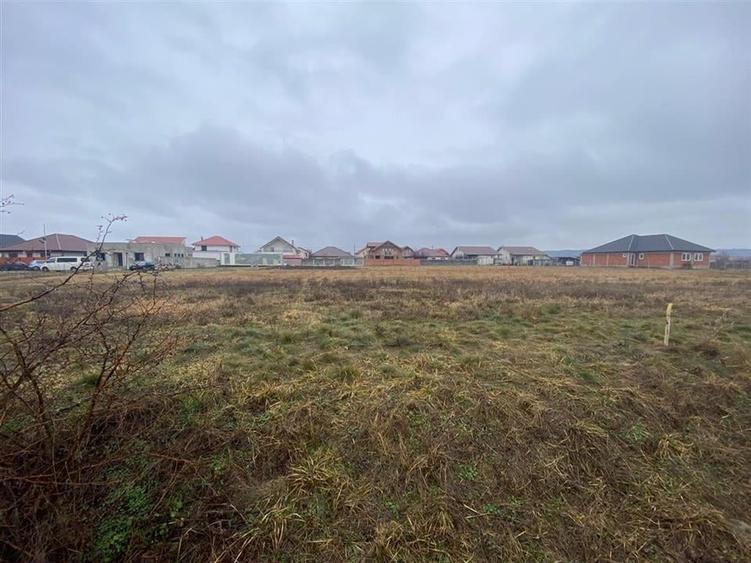 RECO teren Episcopia - 1