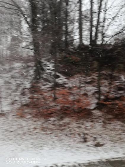 Teren intravilan situat in Busteni - 5