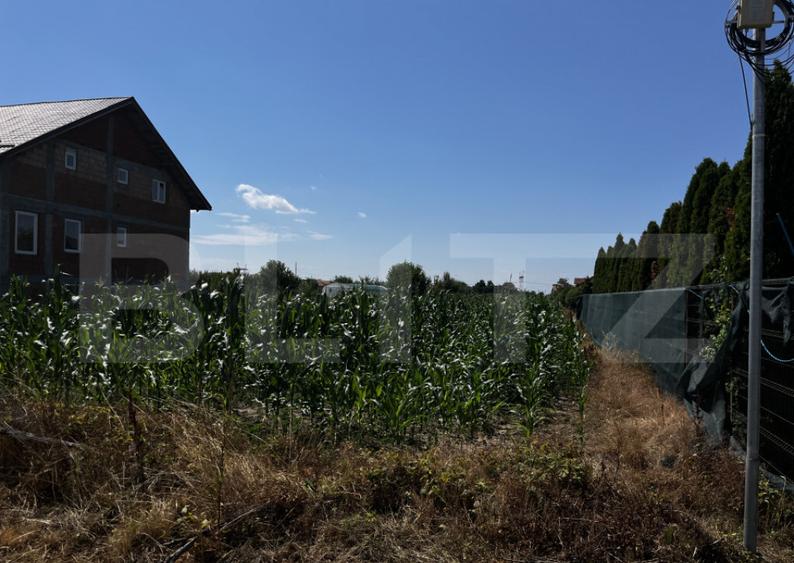 Teren extravilan de vanzare, 1267 mp, zona Draexlmaier - 1