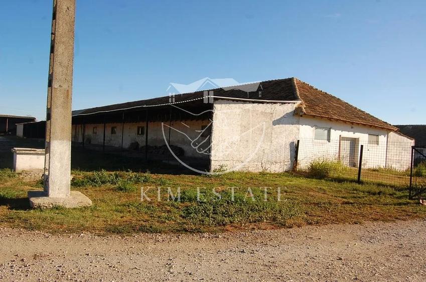 De vanzare ferma N.Balcescu - 2