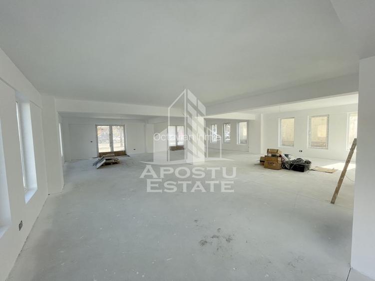 Spațiu comercial, 238 mp în Lipovei Spațiu comercial, 238 mp în Lipovei