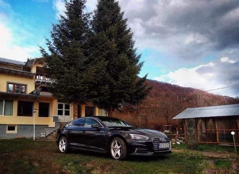 Inchiriez vila Paste - 7