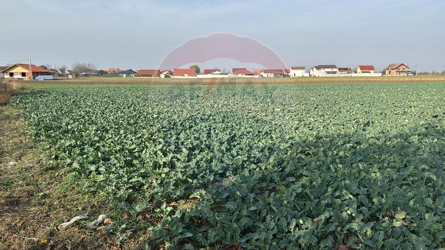 Teren intravilan de vanzare, 11.600 mp - Tarian, Girisul de Cris - 5