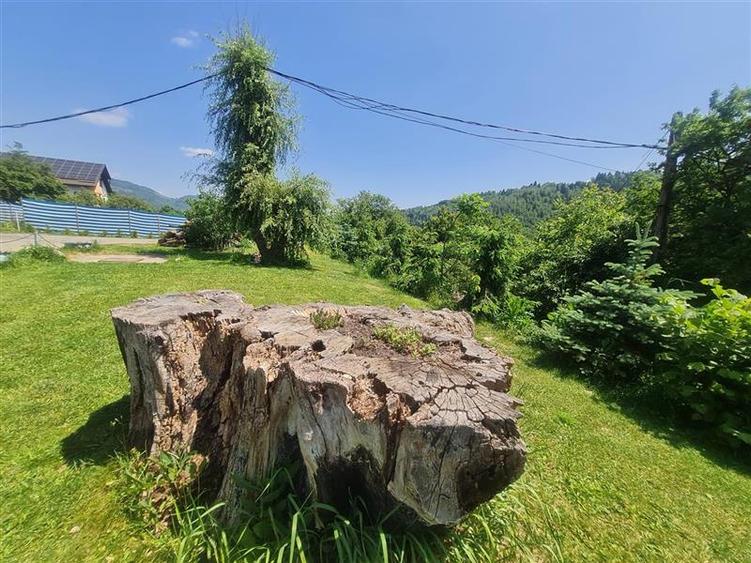 Teren Construcții intravilan de 2327 mp, în Moieciu de Jos