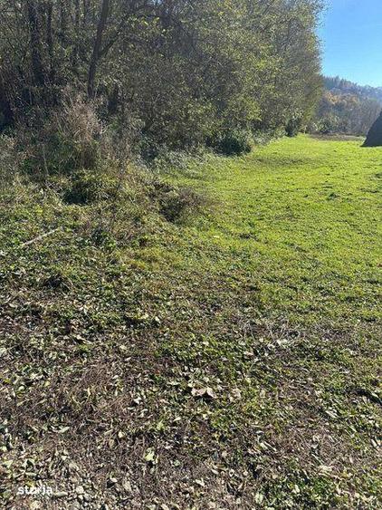 Vand teren extravilan in comuna Cosbuc ,33 arii - 7