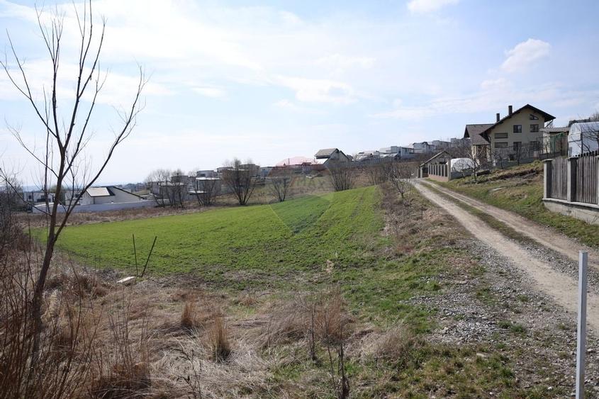 Teren 3,500mp Moara / Strada Pprincipala - 9