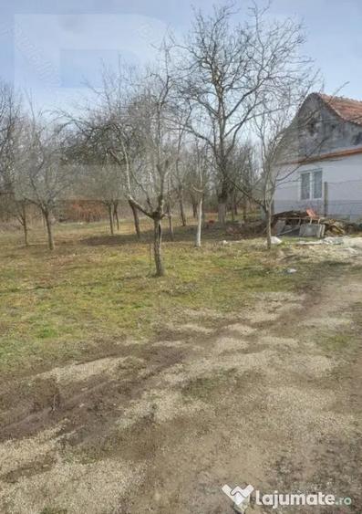 Casa de vanzare intr-o zona lini?tita, sus pe deal, cu - 7