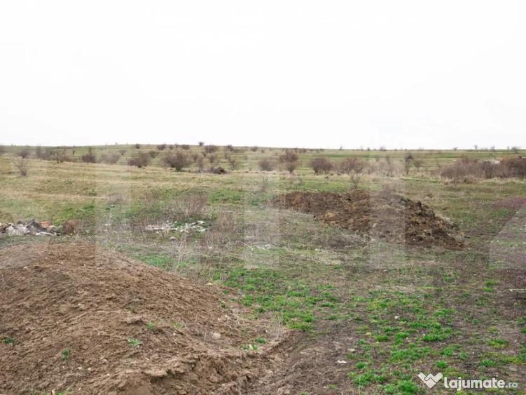 Teren 5800 mp in Campene?ti cadru natural deosebit, i - 2