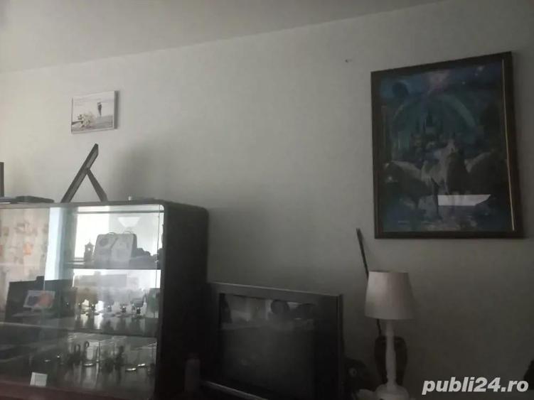 Apartament cu 3 Camere(Brazda) - 3