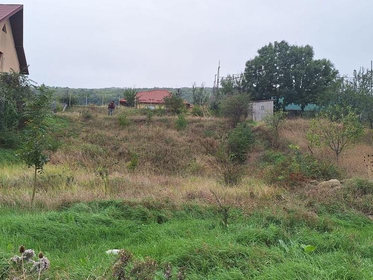 Teren Tomesti intravilan 1000mp,gaz,apa,canal,asfalt,business - 9