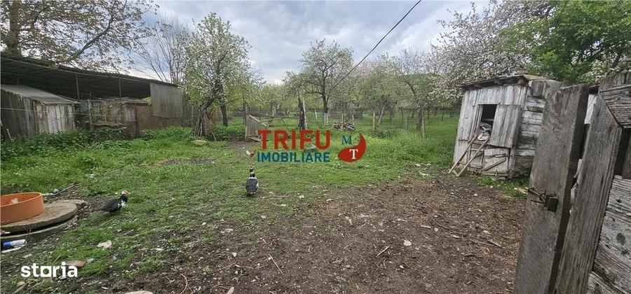 Casa + Teren Benic ! - 15