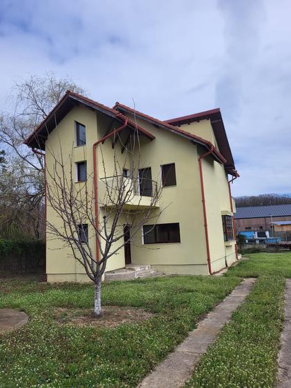 Ansamblu boutique cu 3 vile – libertate, spațiu și natură în Snagov - 2