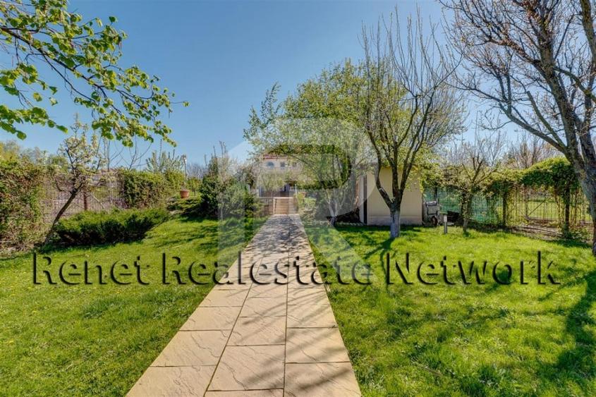 O Poveste de Vis pe Malul Lacului Snagov - 38