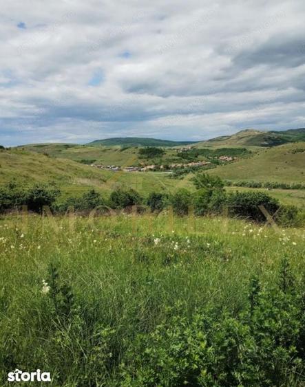 Teren intravilan 2.200 mp | Radaia Baciu | Panorama superba - 3