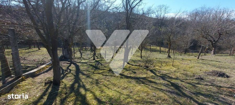 Casa individuala din 2 corpuri ,6 camere, 2 bai, 3 pivnite, 2109 mp, R - 6