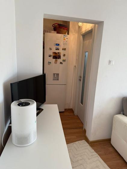 Garsoniera luminosa de vanzare-Micalaca - 4