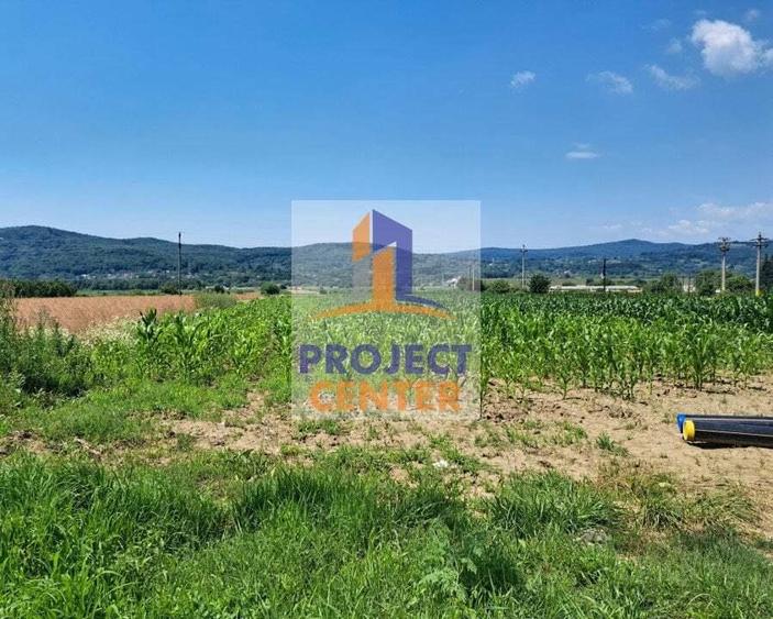 Teren intravilan, Baiculesti, situat la DN - 3