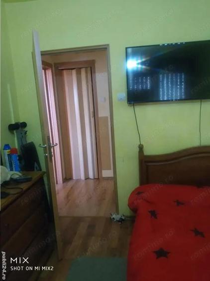 2 cam Torontalului/Lidl Centrala proprie - 8