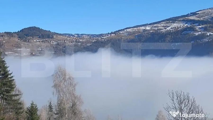 Teren de vanzare in Mun?ii Apuseni 10.831 mp, zona m - 1