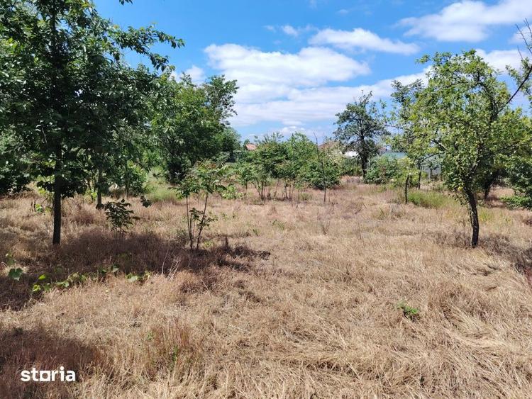 PROPRIETATE MARE IN COMUNA LEU, DOLJ, 2023MP TEREN - 10