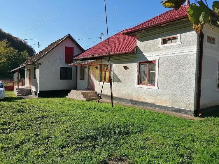 Casa de vanzare + teren si padure - 2