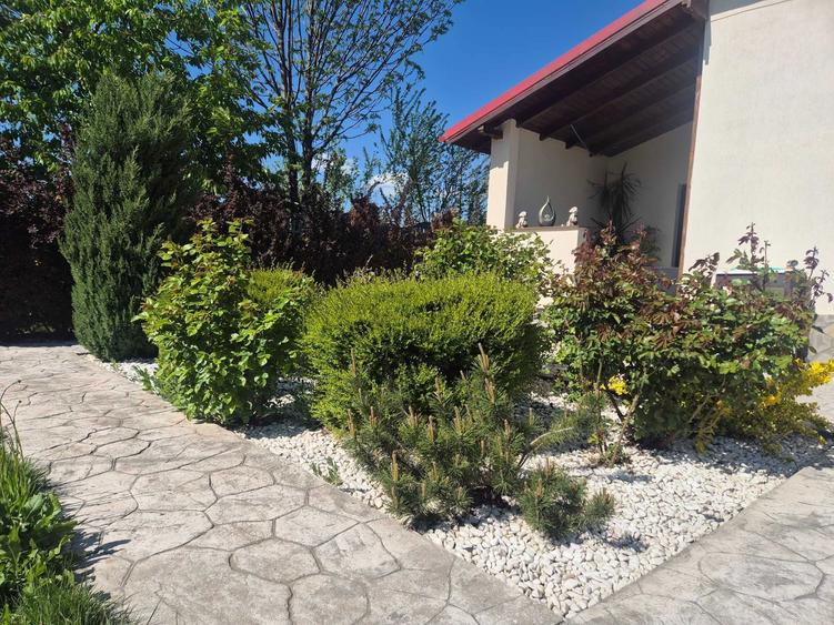 De vanzare casa P+M+BECI - 1