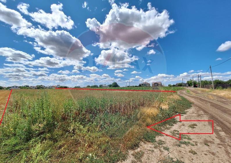 Teren Focsanei / DN sat Focsanei Vadu Pasii - 1