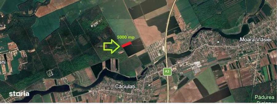 5000 mp langa padure - 1