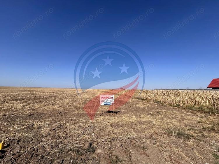 Teren intravilan 5087 mp de vanzare Piele?ti - 3