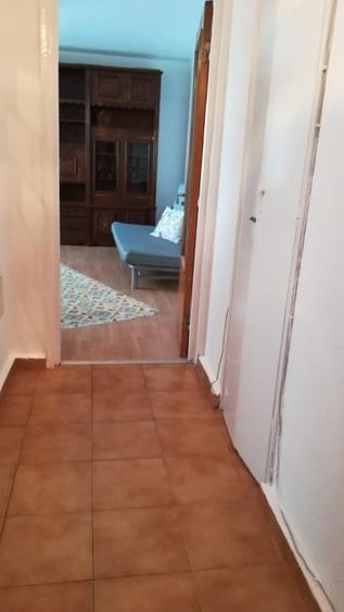 Drumul Taberei - Favorit-  Pet Friendly - 5