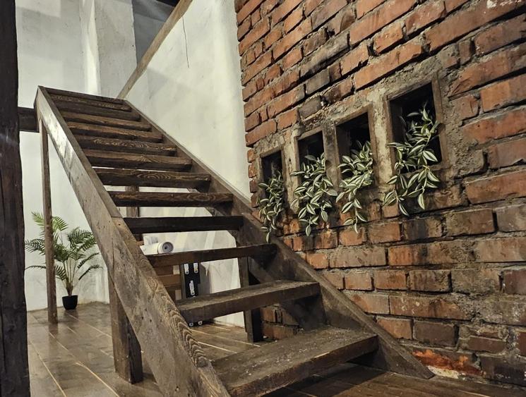 Vila cu arhitectura Cismigiu - 5