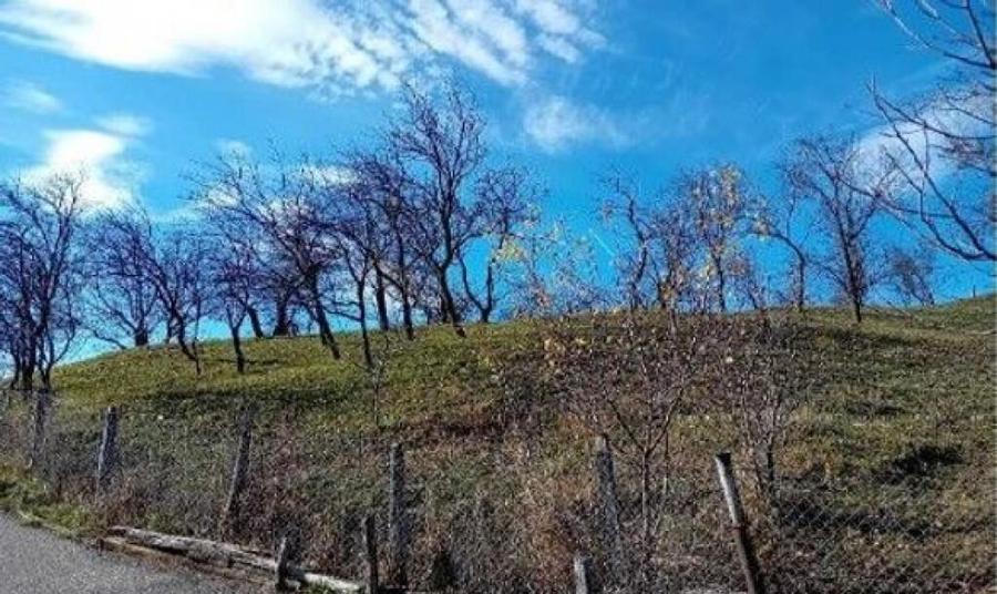 Teren cota parte 1/2, Sat Vistieru, ID: R2809860 - 15