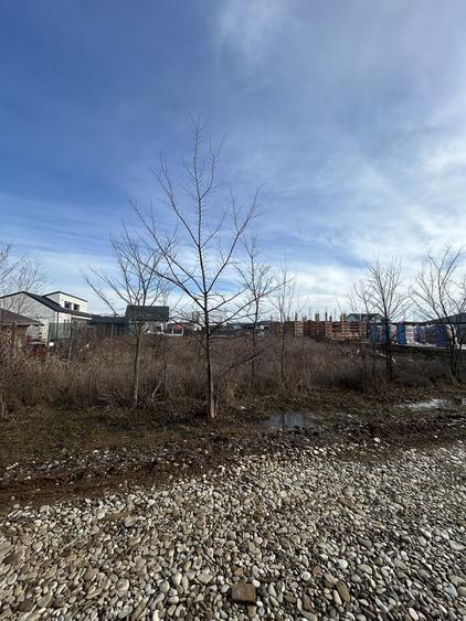 Teren Balotesti 475 mp - 4