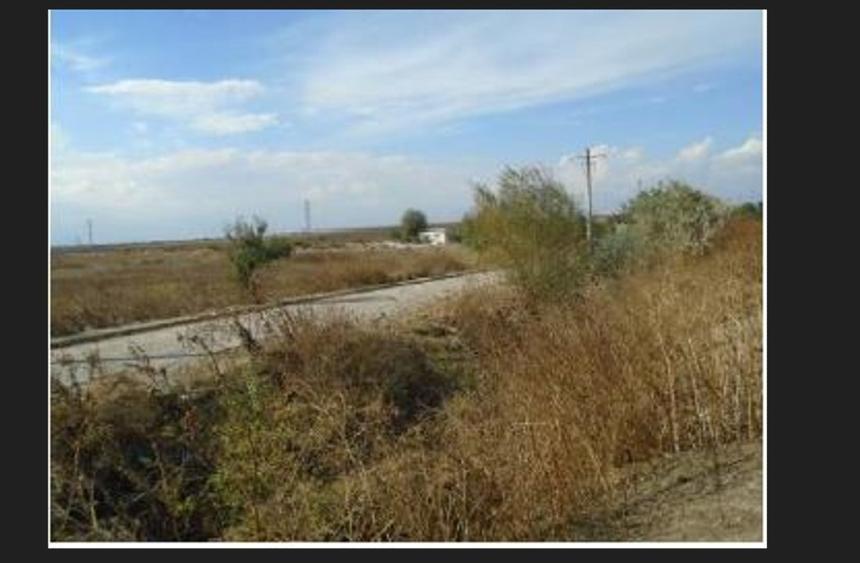 Teren intravilan 3 loturi - total suprafata 7.960 m.p. Constanta pret 600EUR/ mp - 9