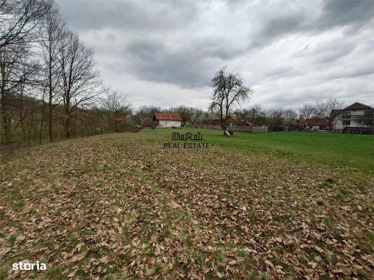 10 000 mp teren intravilan cu priveliste - 9