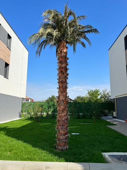 Apartament 2 camere-Zona Obor - 10