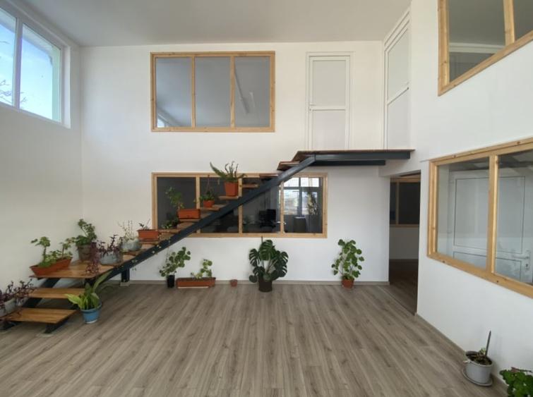 Proprietate agroindustriala, hala 1590 mp, teren 28000 mp, panouri 398 kWp - 12