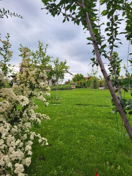 Reședință de colecție pe malul lacului/ Arhitectură neoromânească 2051 mp, teren - 19