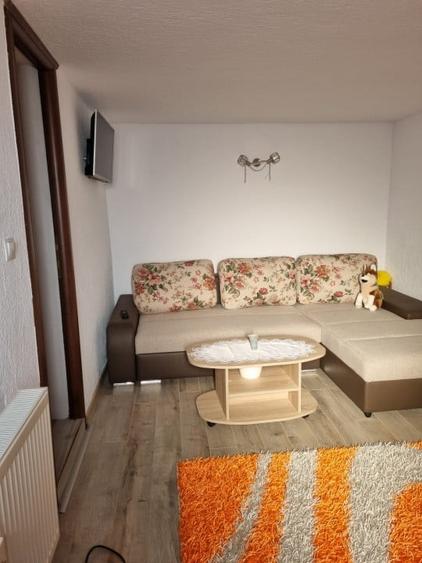 Giroc - Casa individuala cu 3 dormitoare si garaj - 19