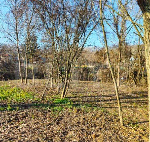 Teren intravilan 738 mp, zona Viforata, Comision 0 - 12