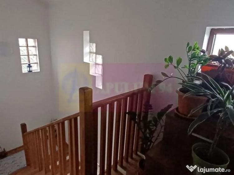 Sabareni, casa 2011, P+M 4 camere + dependin?e, curte... - 3