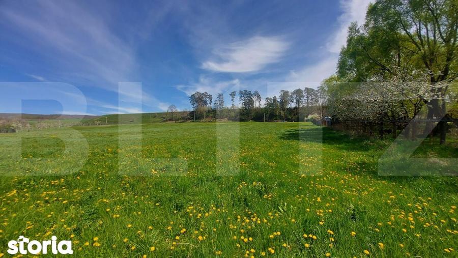 7000 mp teren intravilan in Ghidfalau I Pe malul Oltului I Oportunitat - 2