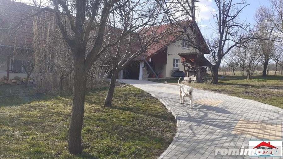 Viile Satu Mare 2 case cu teren 3200 mp - 1