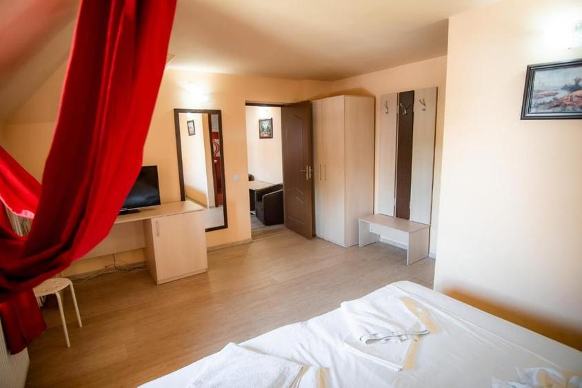 Vanzare Vila Panseluta - Pensiune/Vila turistica deosebita Pucioasa - 15