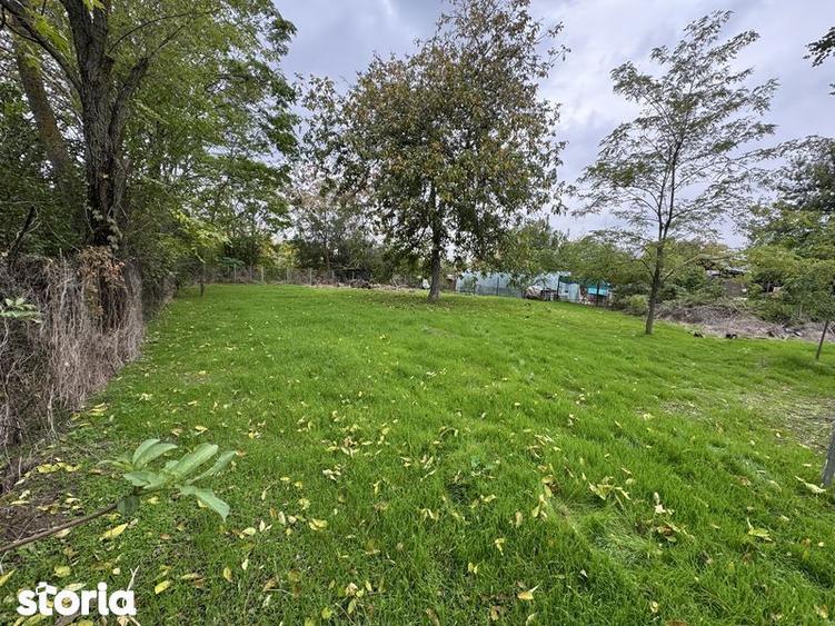 Vand teren Bolintin Deal - 1