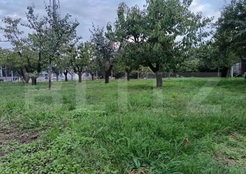 Teren Intravilan Centru Paulesti, parcelabil ,potential enor - 7