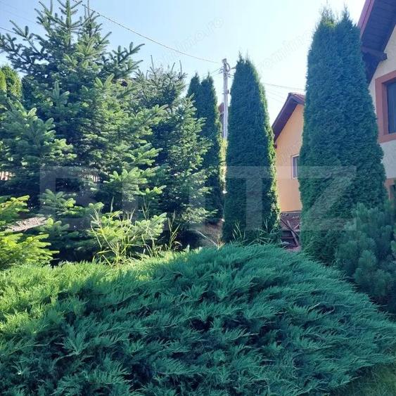 Casa de vanzare in Vatra Dornei, 65 mp amprenta la sol - 3