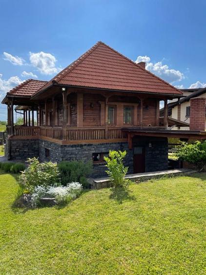 Casa de inchiriat Lapusel - 6