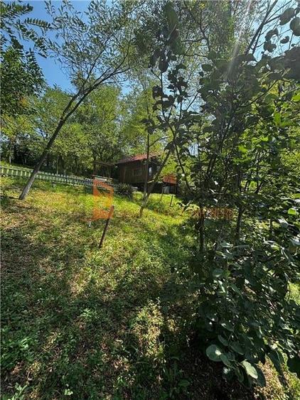 Ansamblu cabanute zona Cozieni - 30