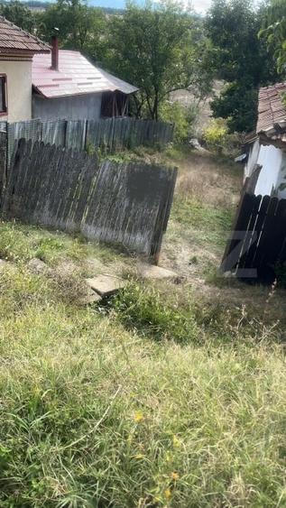 Teren intravilan, 2450 mp, sat Palilula - 1